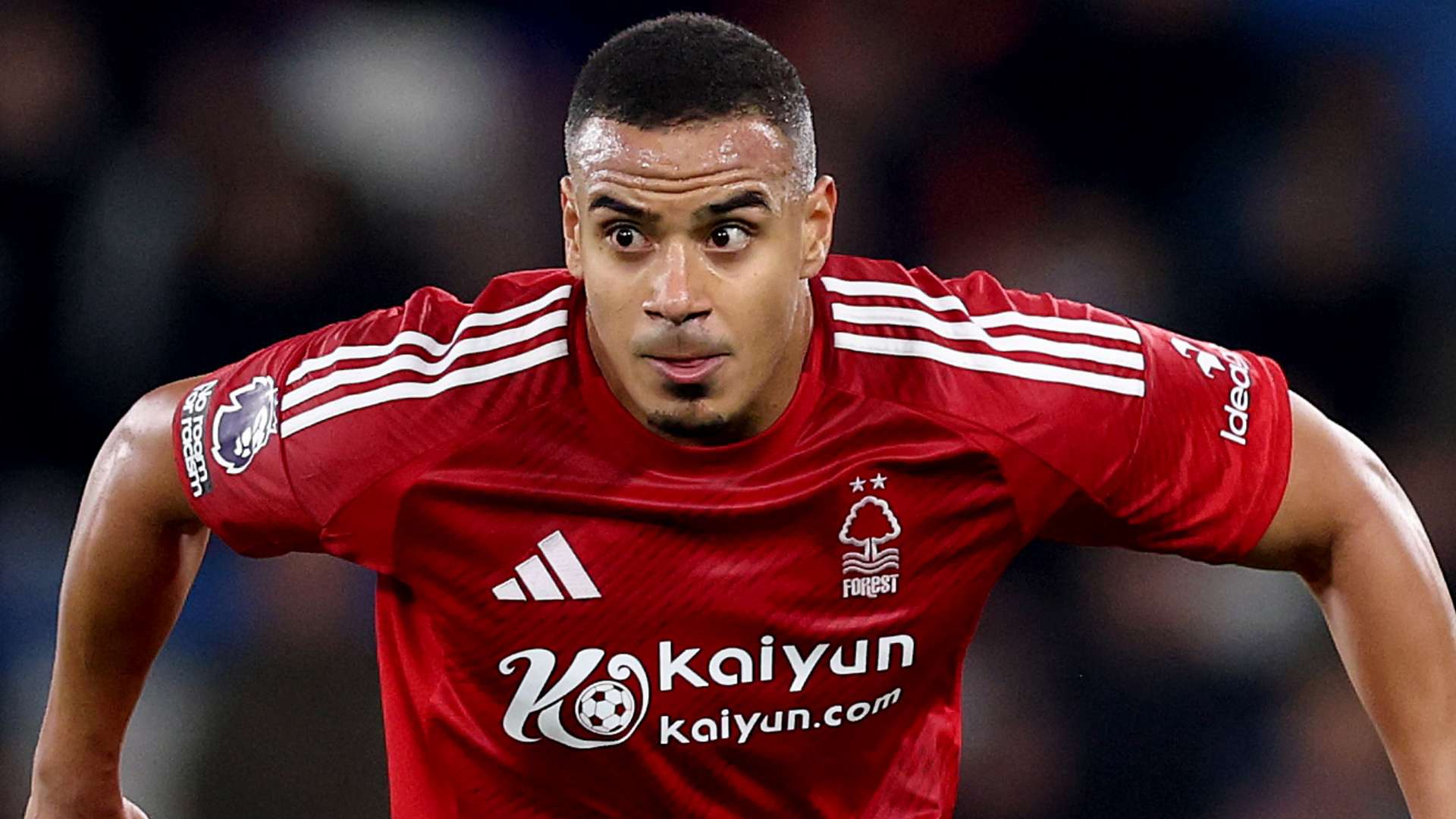 吳金貴被輕視！.